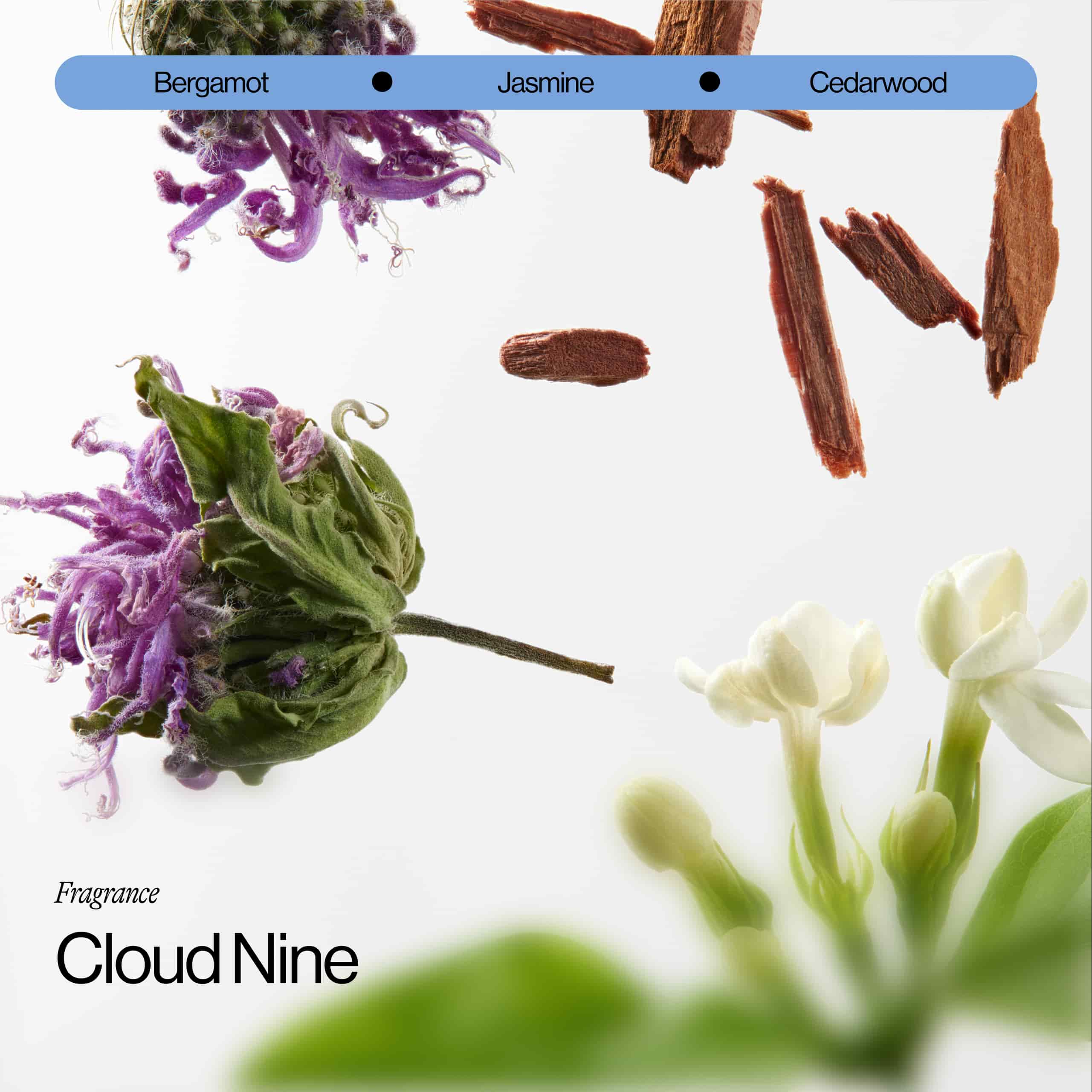 Eva NYC Cloud Nine Fragrance