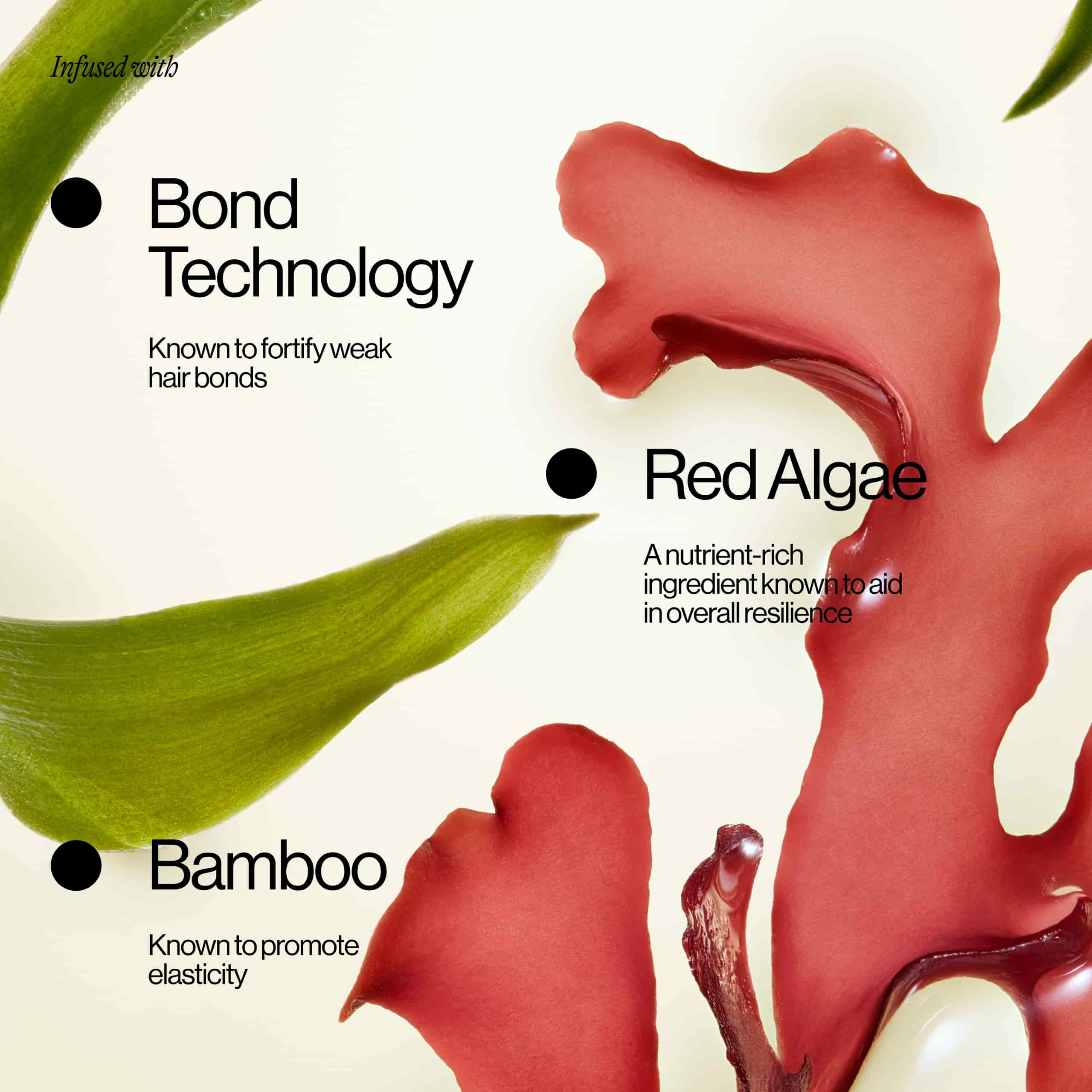 Bond Technology, Red Algae, and Bamboo Ingredients