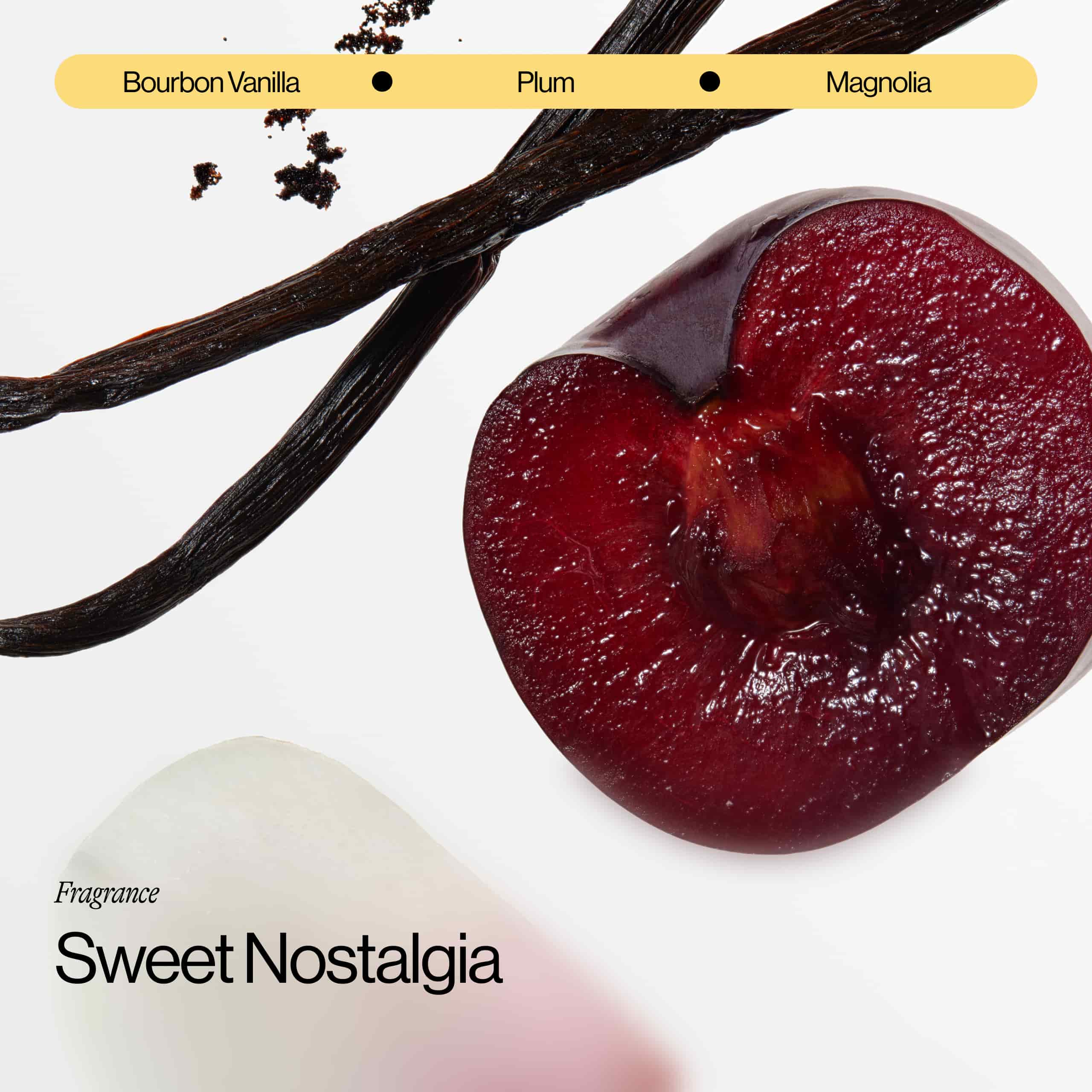 Sweet Nostalgia Fragrance