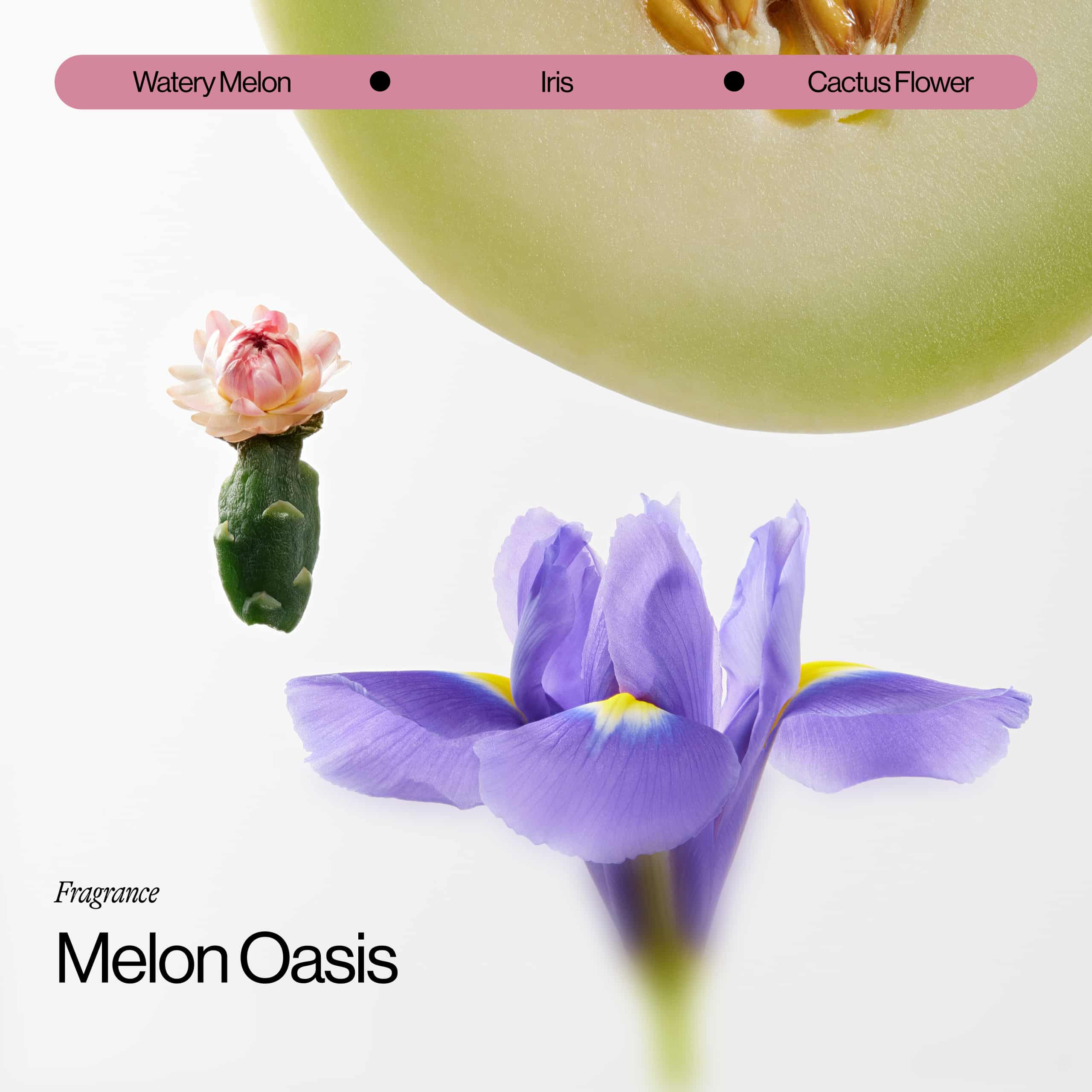 Eva NYC Melon Oasis Fragrance