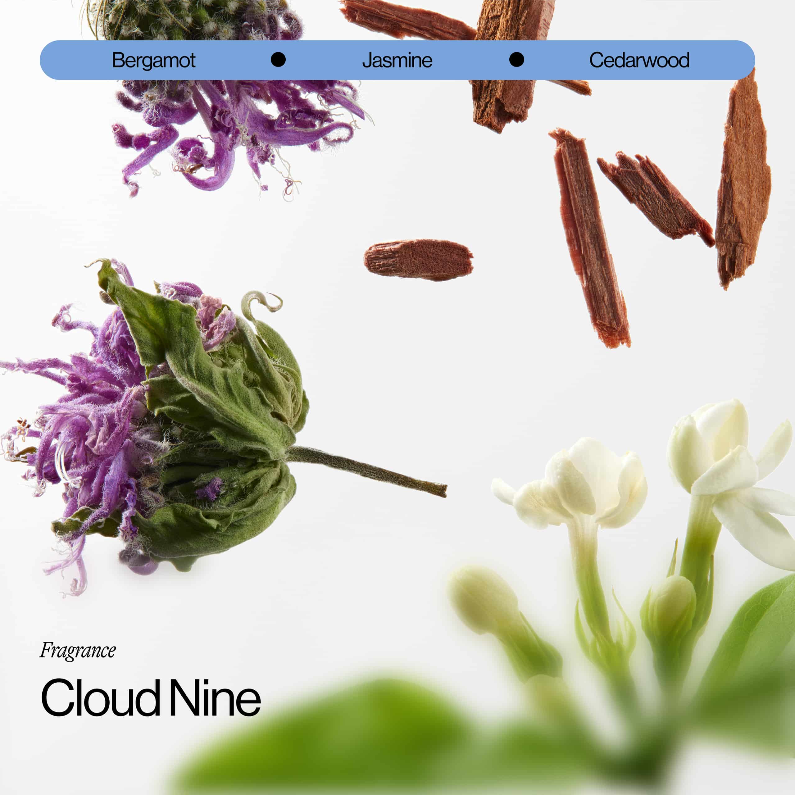 Cloud Nine Fragrance