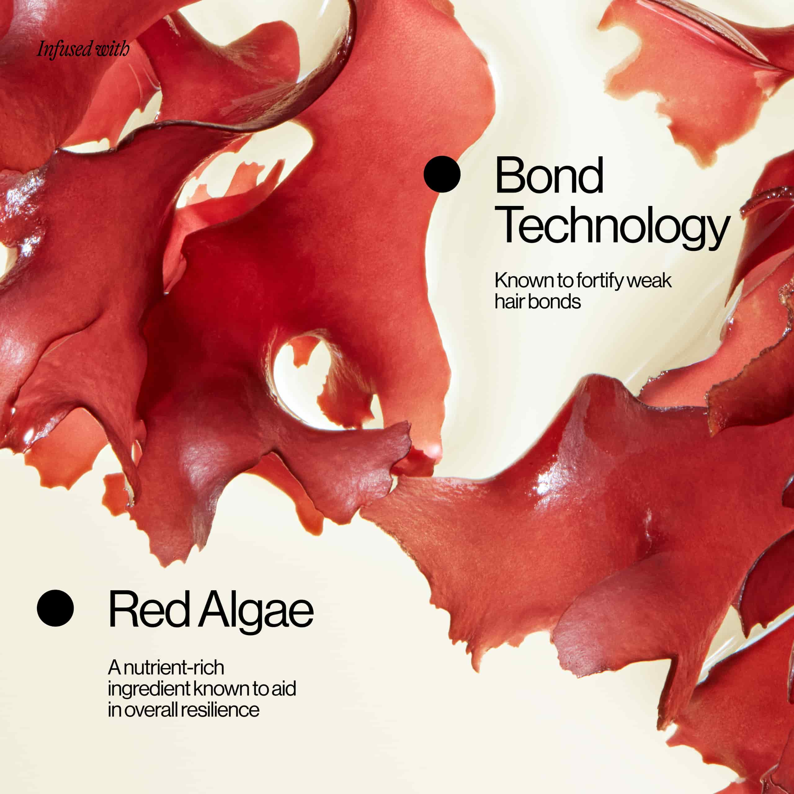 Bond Technology and Red Algae Ingredients