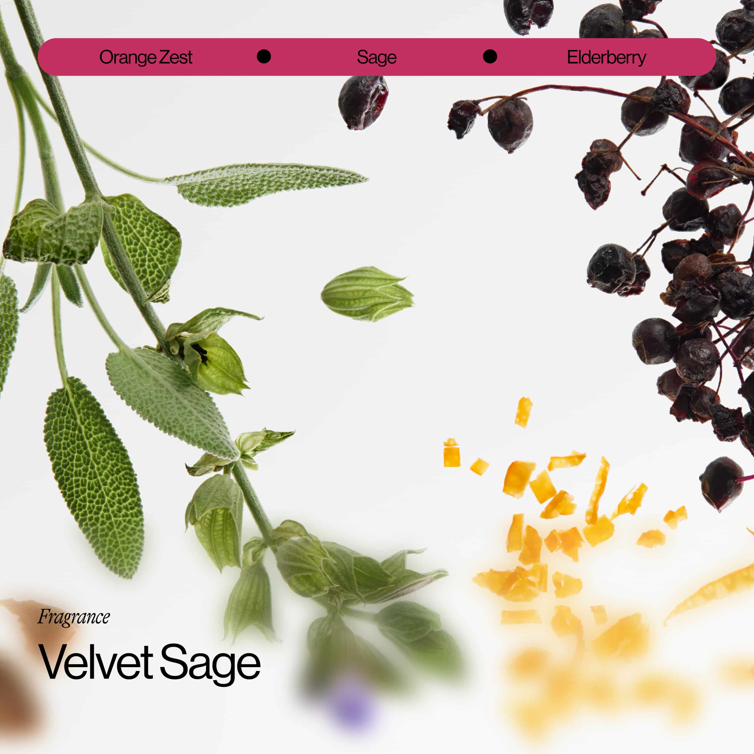 Velvet Sage Fragrance